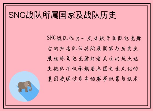 SNG战队所属国家及战队历史